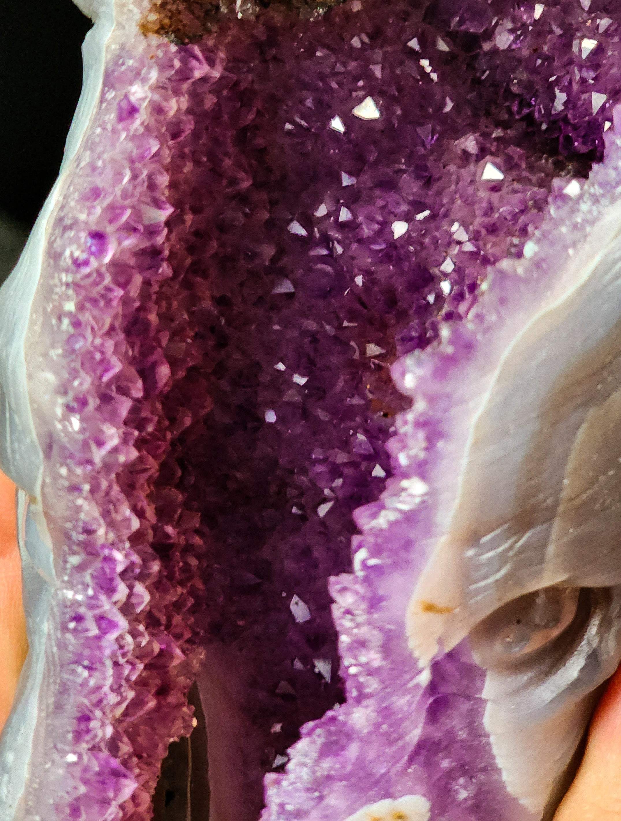 Crystal Wolf Amethyst Geode